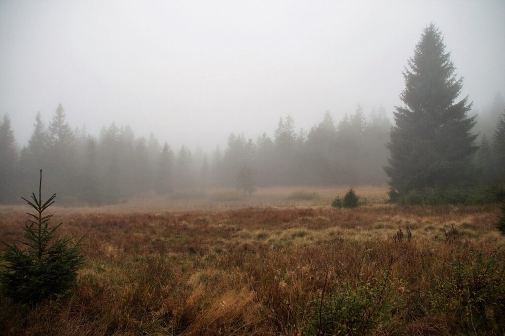 湿布と温湿、野球で肩の痛みを和らげるのはどっち？