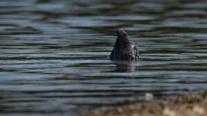 クールダウンに最適な野球用グッズは肩肘にどのように効果があるの？
