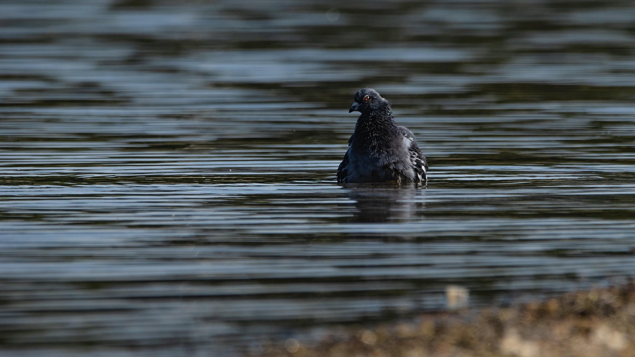 クールダウンに最適な野球用グッズは肩肘にどのように効果があるの？