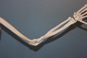 野球肘の圧迫に最適なサポーターおすすめは？